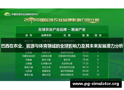 巴西在农业、能源与体育领域的全球影响力及其未来发展潜力分析