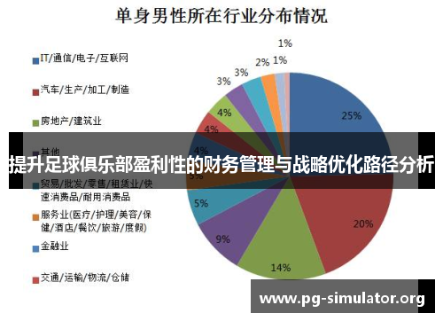 提升足球俱乐部盈利性的财务管理与战略优化路径分析