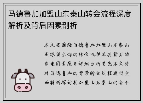 马德鲁加加盟山东泰山转会流程深度解析及背后因素剖析