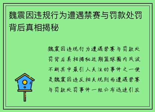 魏震因违规行为遭遇禁赛与罚款处罚背后真相揭秘